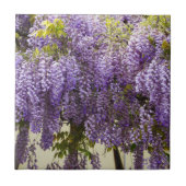 Violet Wisteria Flowers Tegeltje (Voorkant)