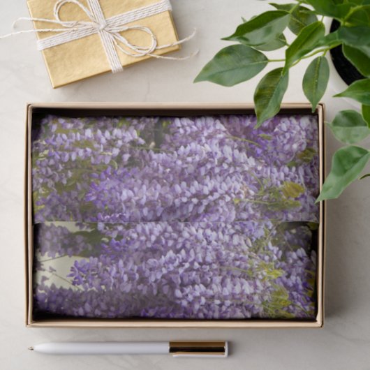 Violet Wisteria Flowers Tissuepapier (Geschenk)