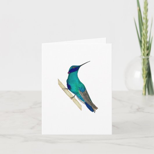 Violetar Hummingbird Wenskaart Kaart (Voorkant)
