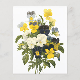 Violets en pansy Flowers botanische kunst Flyer
