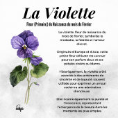 Violette botanische veldbloem poster