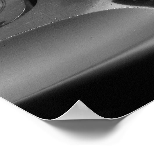 Violin B&W Poster (Hoek)