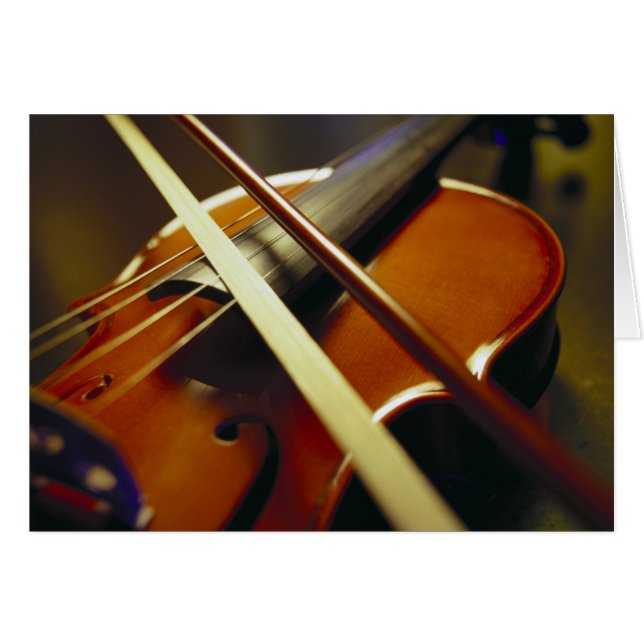 Violin & Bow Close 1 (Voorkant Horizontaal)