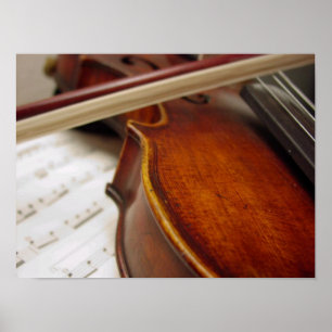 Violin Bow & vel Muziek Foto Poster