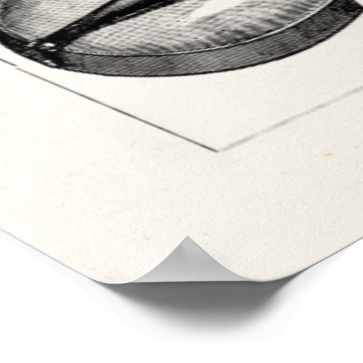 Violin Cello String Musical Instruments Poster (Hoek)