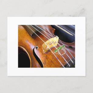 Violin Closeup Briefkaart