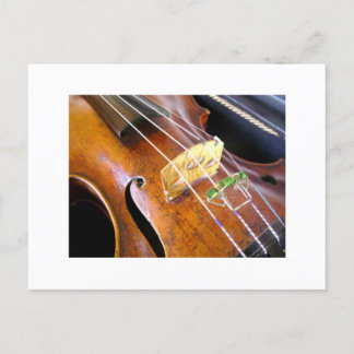 Violin Closeup Briefkaart