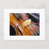 Violin Closeup Briefkaart (Voorkant)