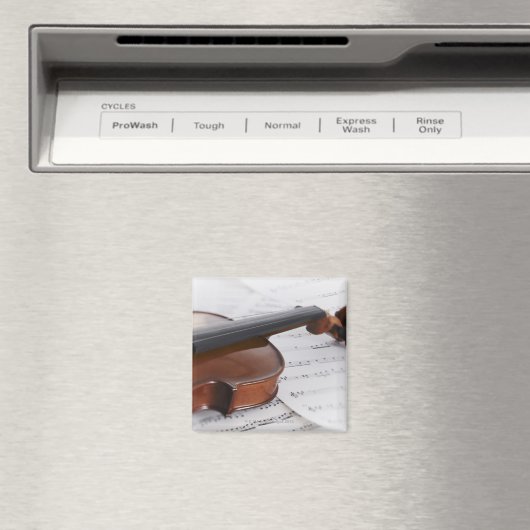 Violin en vel magneet (Insitu (Vaatwasser))