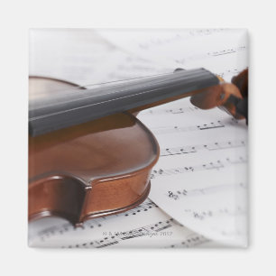 Violin en vel magneet