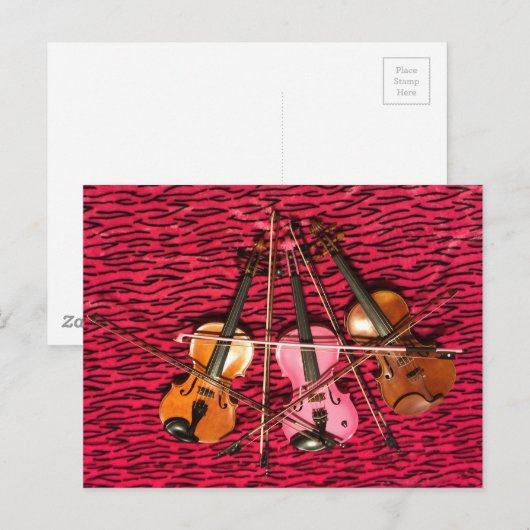 Violin Fotogeschenken Briefkaart (Voorkant / Achterkant)