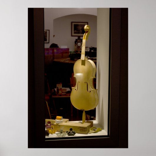 Violin in in winkelvenster poster (Voorkant)