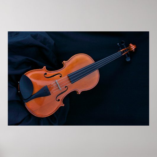 Violin Photo Closeup Poster (Voorkant)