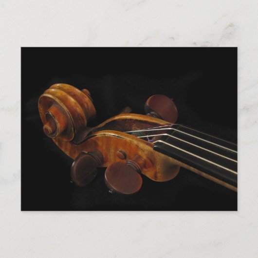 Violin Scroll Briefkaart (Voorkant)
