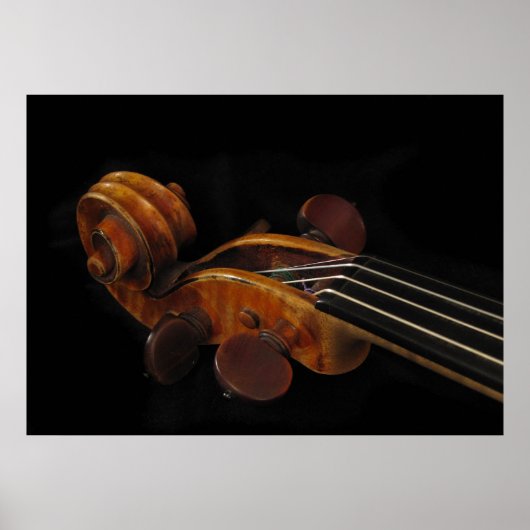 Violin Scroll Poster (Voorkant)