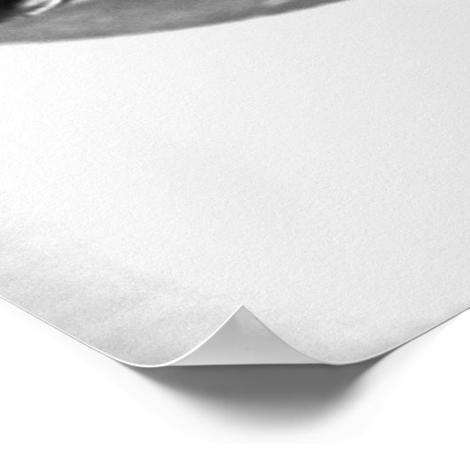 Violin Scroll Poster (Hoek)