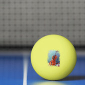 Violín/Violin Pingpongbal (Net)