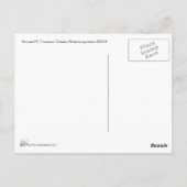 Violinist Briefkaart (Achterkant)