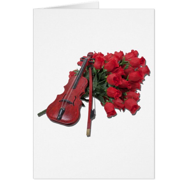 ViolinOnBouquetRoses012511 (Voorkant)