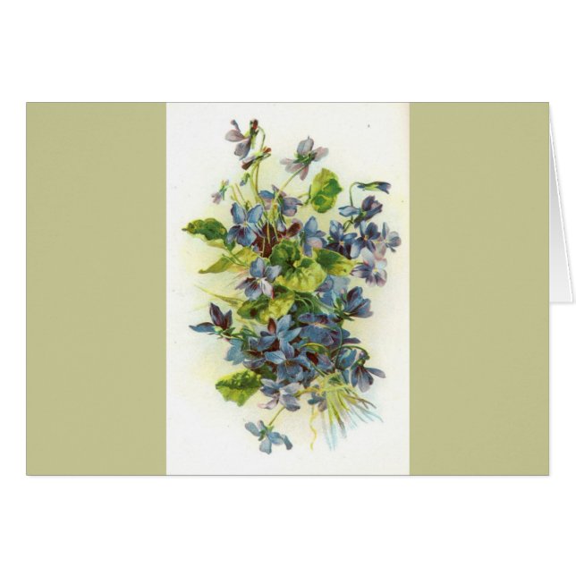 viool (Voorkant Horizontaal)