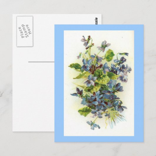 viool briefkaart (Voorkant / Achterkant)