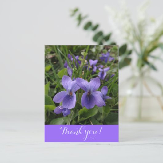 viool briefkaart (Staand voorkant)