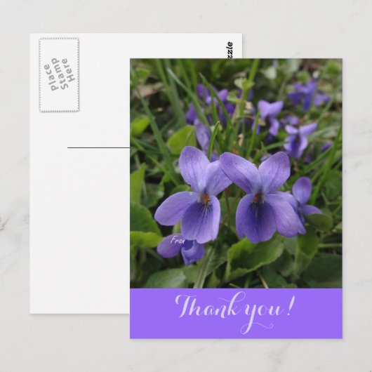 viool briefkaart (Voorkant / Achterkant)