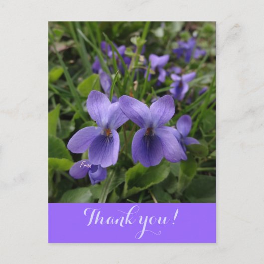 viool briefkaart (Voorkant)