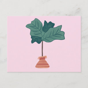 Vioolbladige Vijgenboom Groene Potted Plant Roze Briefkaart