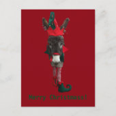 Viooltje het Briefkaart van het Elf (Voorkant)