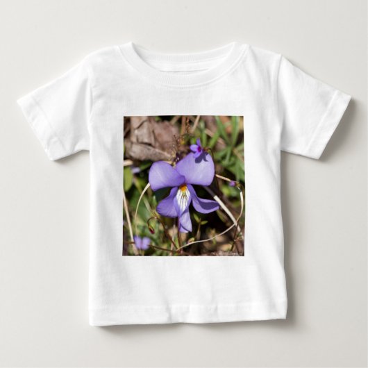 Viooltje met Bluets (Voorkant)