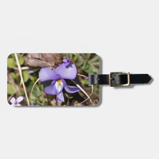 Viooltje met Bluets Bagagelabel (Voorkant horizontaal)