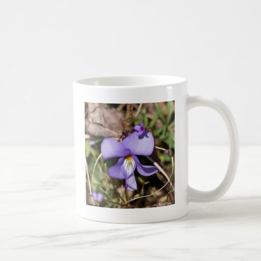 Viooltje met Bluets Koffiemok (Rechts)