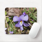 Viooltje met Bluets Muismat (Met muis)