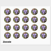 Viooltje met Bluets Ronde Sticker (Vel)