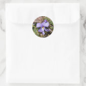 Viooltje met Bluets Ronde Sticker (Tas)