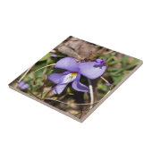 Viooltje met Bluets Tegeltje (Zijkant)