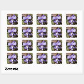 Viooltje met Bluets Vierkante Sticker (Vel)