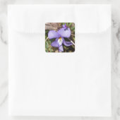 Viooltje met Bluets Vierkante Sticker (Tas)