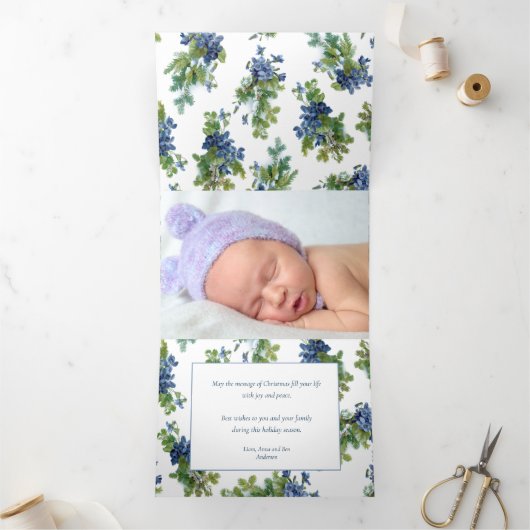 Viooltjes en wintertakken met dennen Foto Drieluik Wenskaart (Binnen)