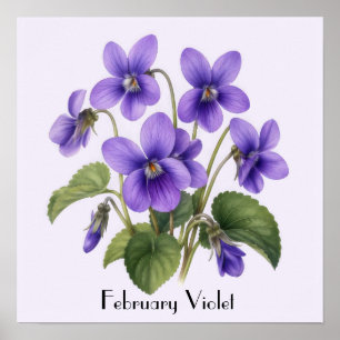 Viooltjes in februari poster