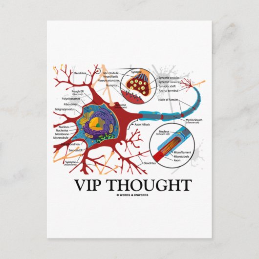 VIP-denken (Neuron/Synapse Humor) Briefkaart (Voorkant)