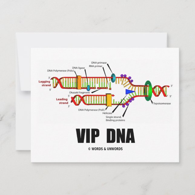 VIP-DNA (DNA-replicatie-Humor) (Voorkant)