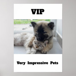 VIP Zeer Indrukwekkende Huisdieren Schattige katte Poster