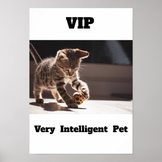 VIP Zeer Intelligent Pet Schattig Cat Poster (Voorkant)