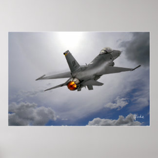 Viper in de zon poster