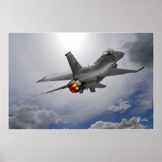 Viper in de zon poster (Voorkant)