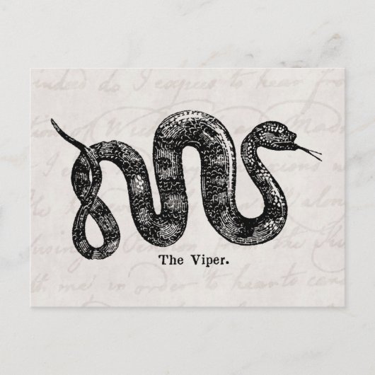  Viper Snake Antiek Snakes Vipers 1800 Briefkaart (Voorkant)