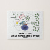 Virale replicatiecyclus van hepatitis C Legpuzzel (Horizontaal)