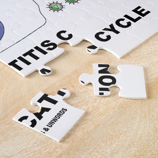 Virale replicatiecyclus van hepatitis C Legpuzzel (Zijkant)